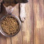 5 Best Dog Food for Bad Breath