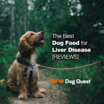 8 Best Dog Food for Liver Disease Reviews [2022]