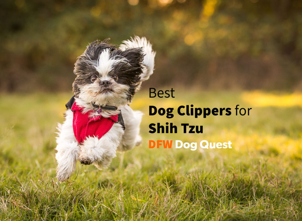 5 Best Dog Clippers For Shih Tzu [2022]