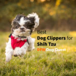5 Best Dog Clippers For Shih Tzu [2022]