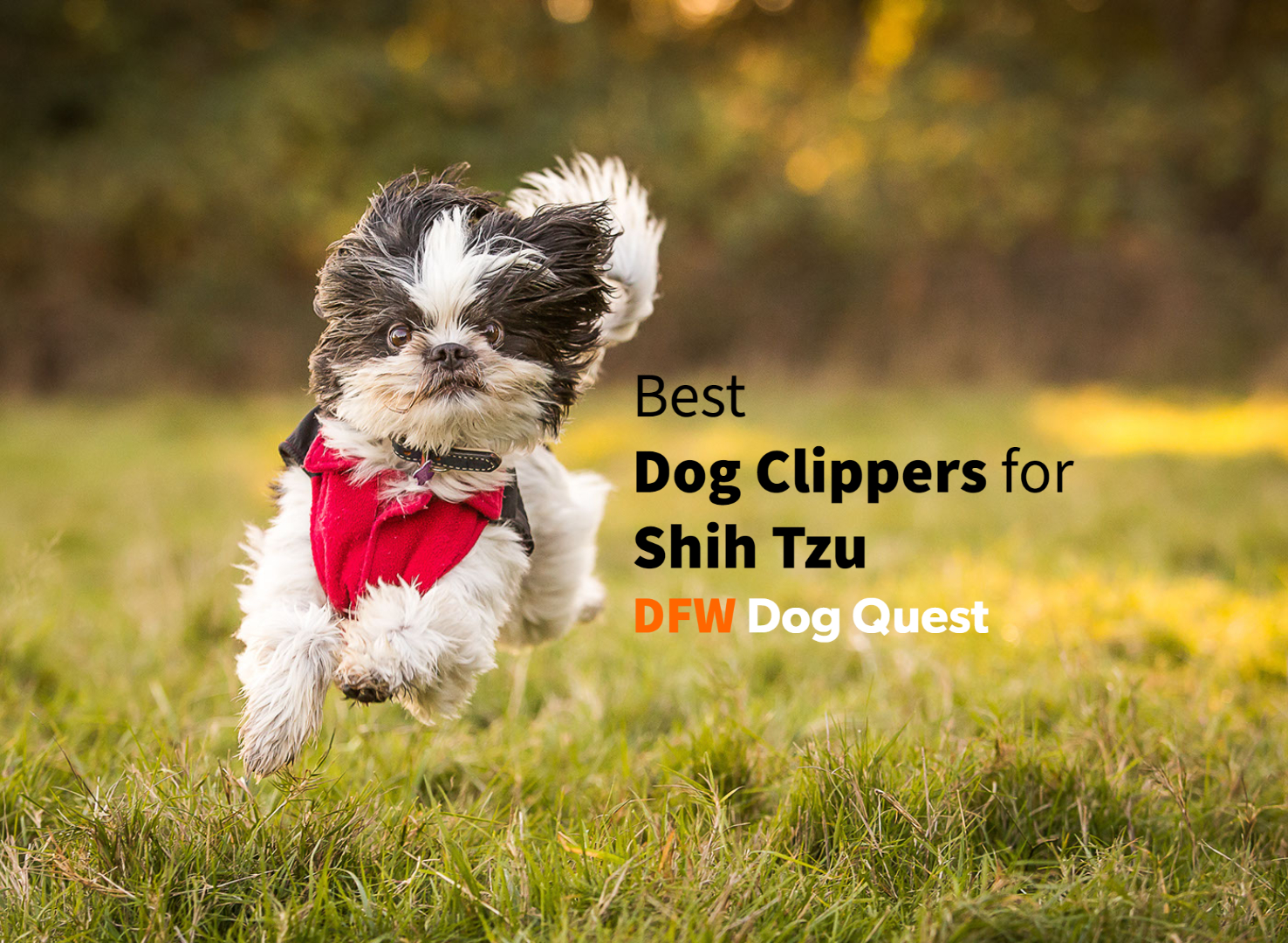 best dog clippers for shih tzu 1