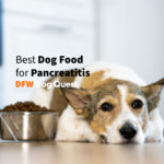 10 Best Dog Food for Pancreatitis [for 2022]