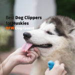 3 Best Dog Clippers for Huskies [2022]