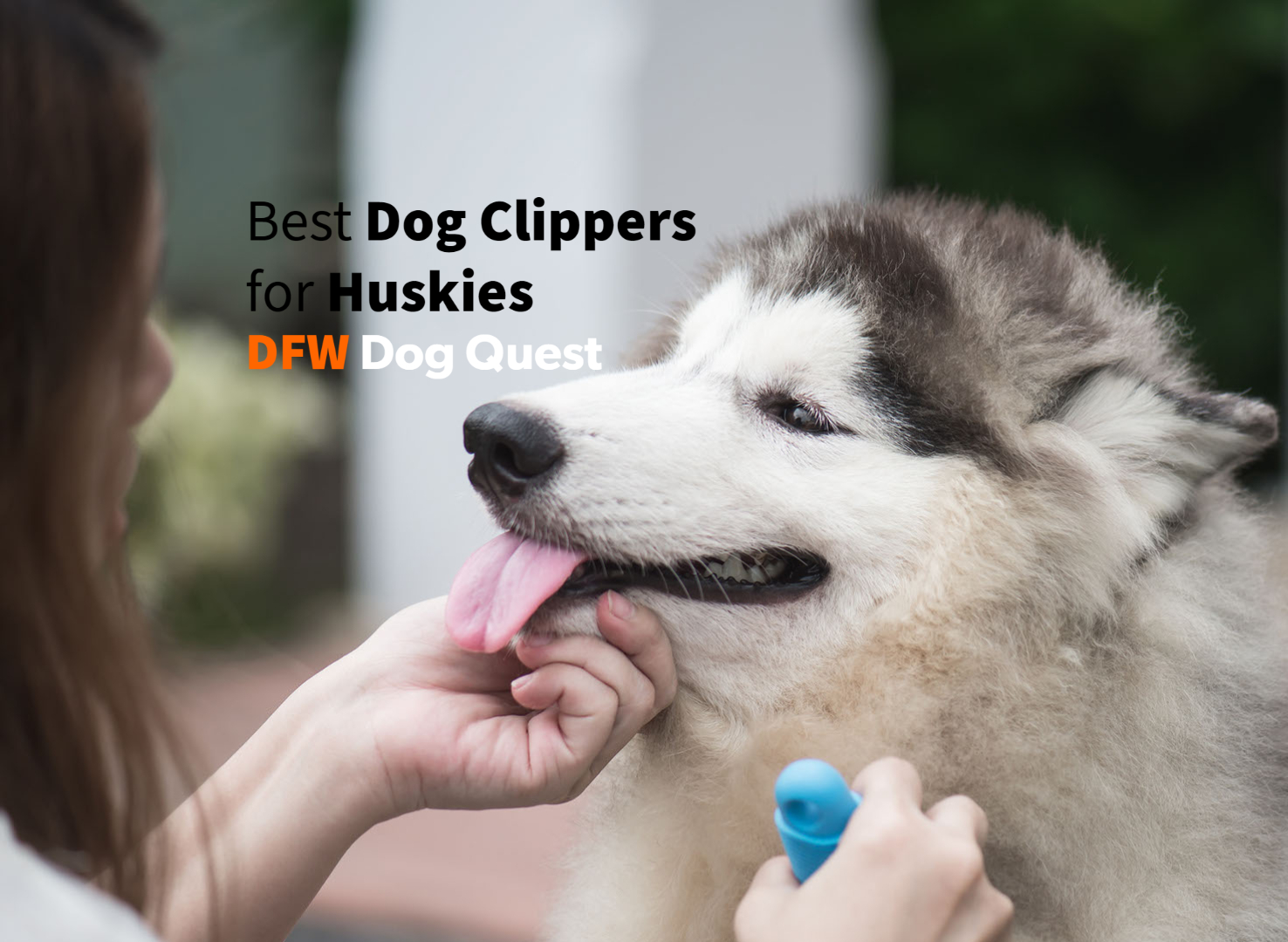 dog clippers for huskies