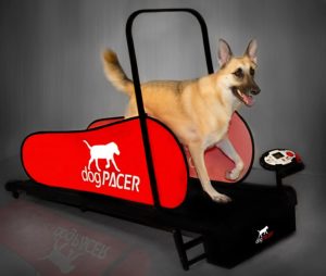 dogpacer 91641 lf 3 1 full size dog pacer treadmill black and red