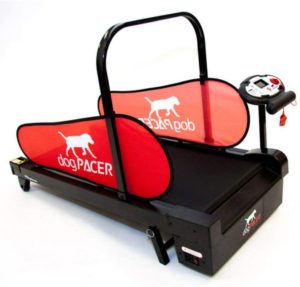 dogpacer minipacer treadmill