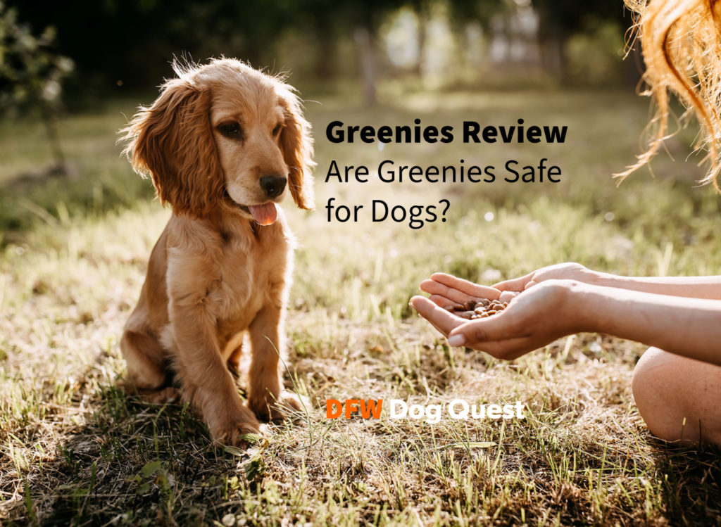 Greenies Review Are Greenies Safe For Dogs