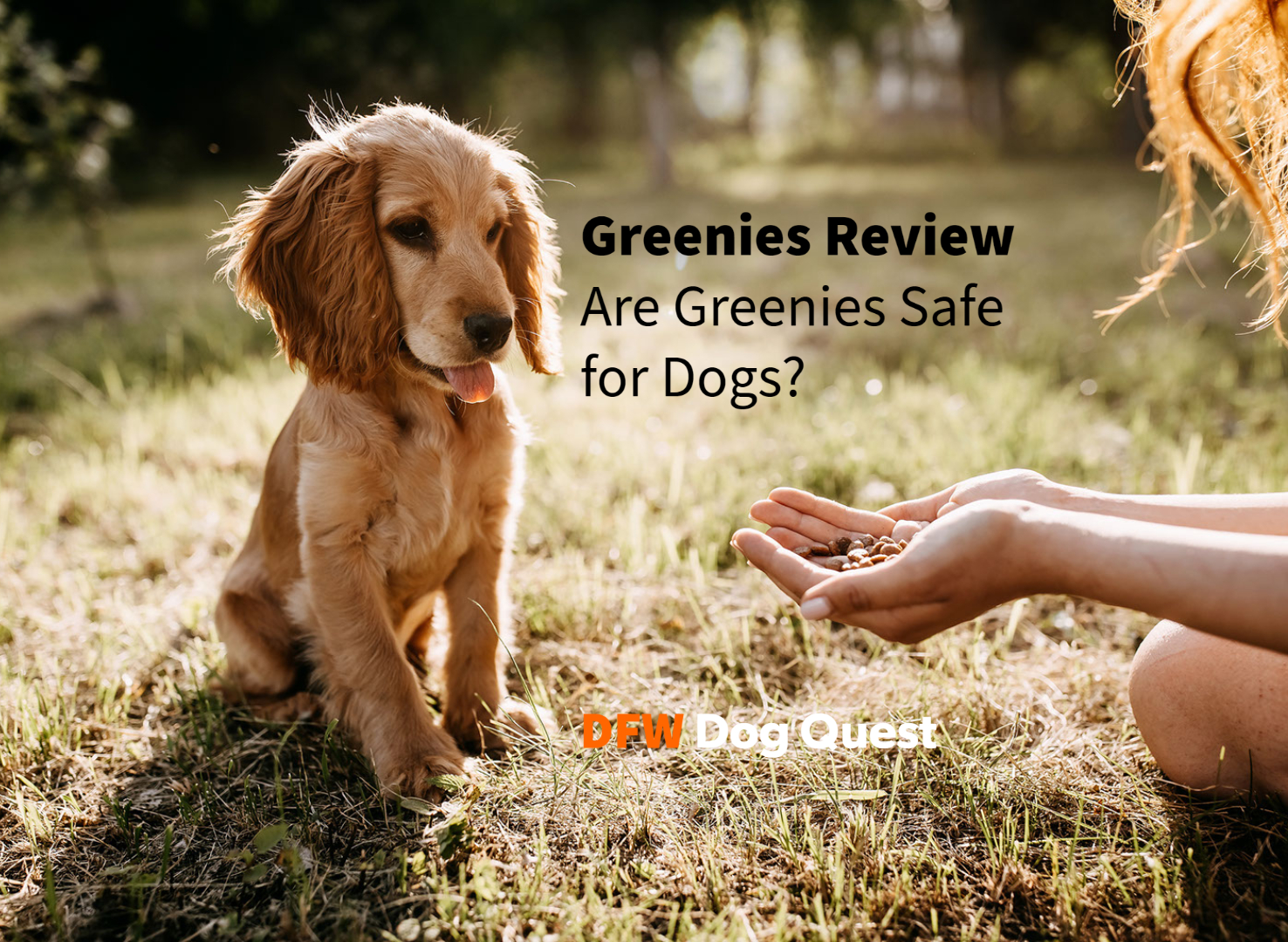 greenies review are greenies safe for dogs