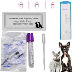 jingbo pet pregnancy test kitover 99 accurate early detection of pregnancy for dogs health wellness care for dogs cats quick early detection of pregnancy checkup kit