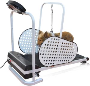 shelandy pet treadmill smart and motorized treadmill for small medium dogs