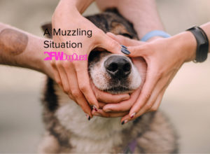 a muzzling situation