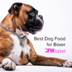 5 Best Dog Food for Boxer [2022]
