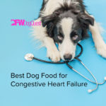 5 Best Dog Food for Congestive Heart Failure [2022]