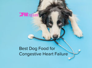 best dog food for congestive heart failure