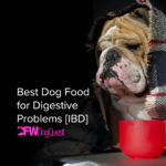 Best Dog Food for Digestive Problems [IBD]