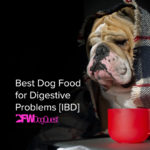 Best Dog Food for Digestive Problems [IBD]