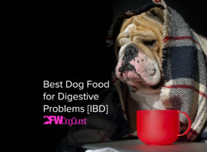 best dog food for digestive problems ibd