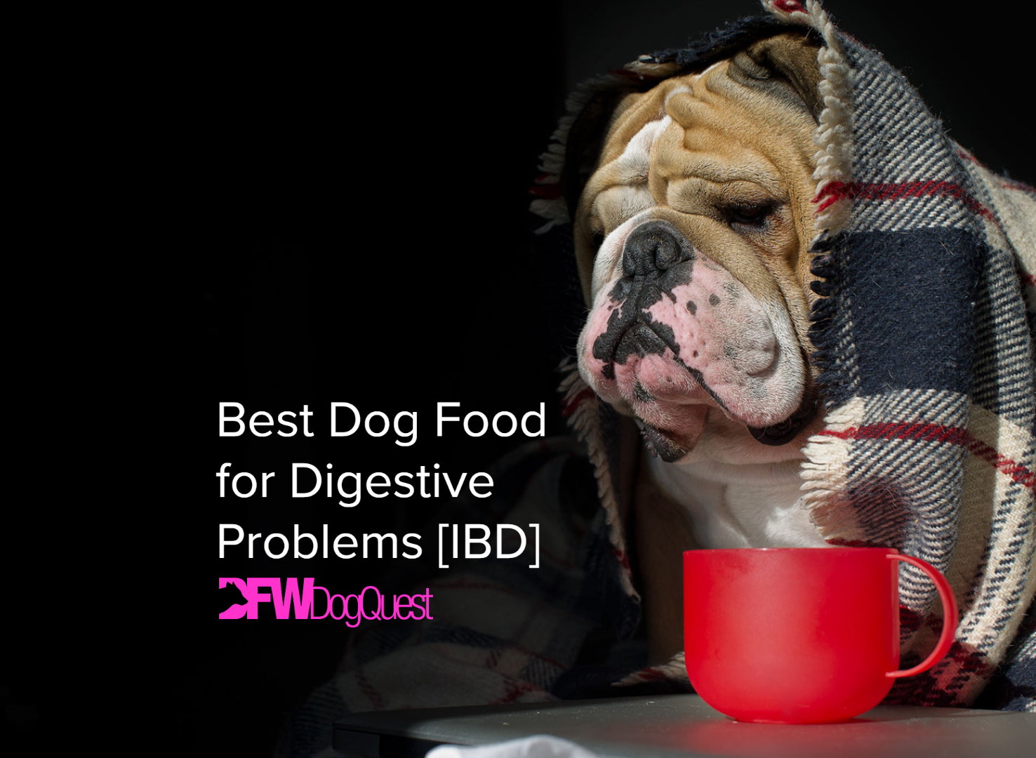 best dog food for digestive problems ibd