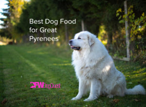 best dog food for great pyrenees