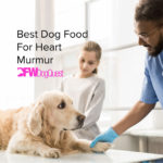 11 Best Dog Food For Heart Murmur [2022]