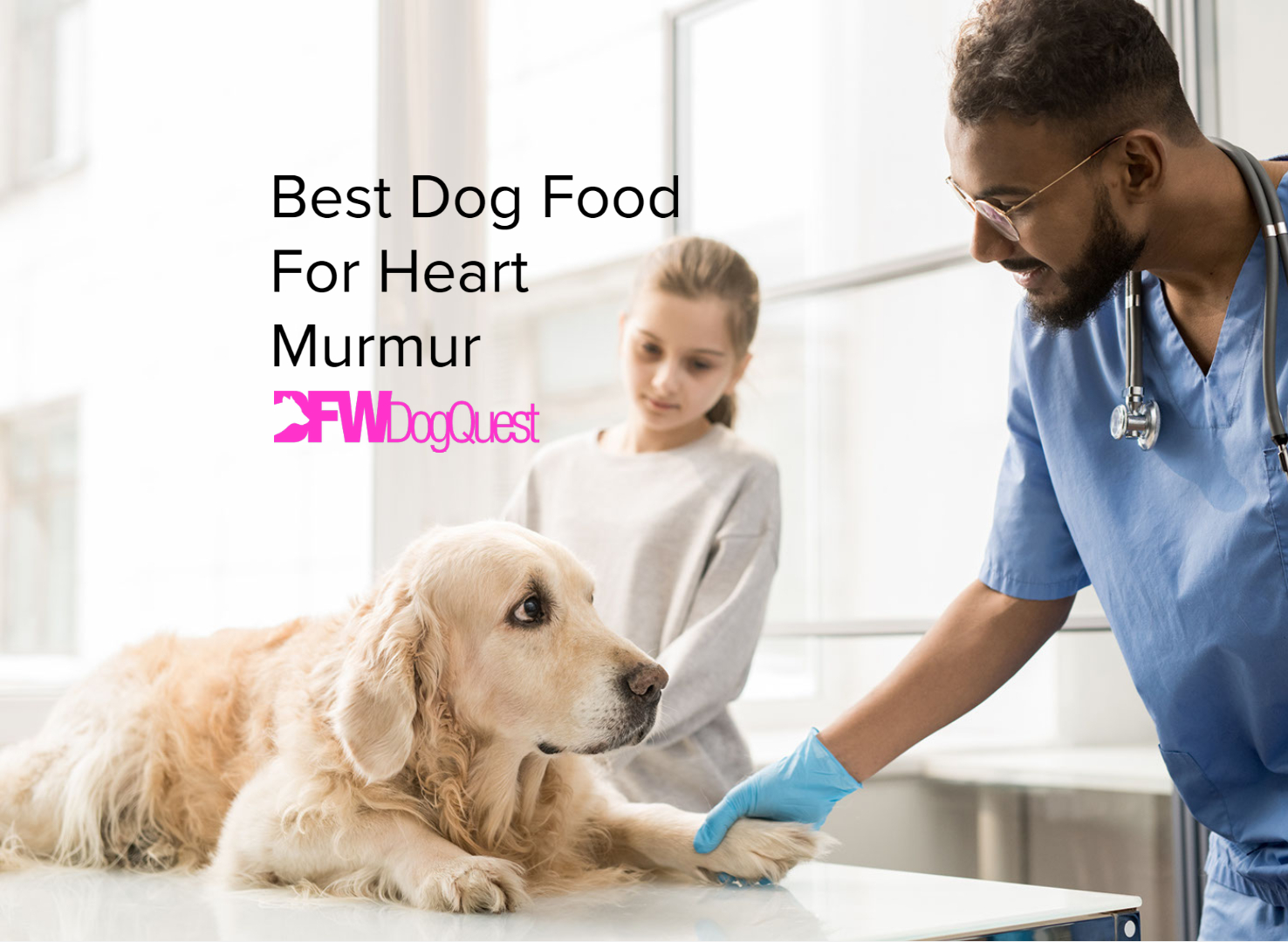 best dog food for heart murmur