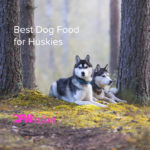 The 5 Best Dog Food for Huskies [2022]