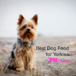 10 Best Dog Food for Yorkies [2022]