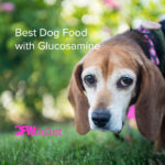 5 Best Dog Food With Glucosamine [2022]