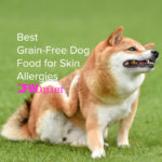 5 Best Grain-Free Dog Food for Skin Allergies [2022]