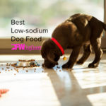 9 Best Low-Sodium Dog Food [2022]
