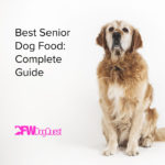 Top 5 Best Senior Dog Food: Complete Guide [2022]