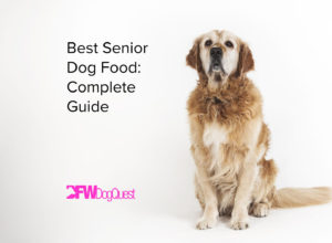 best senior dog food complete guide