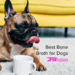 4 Best Bone Broth for Dogs Choices [2022]