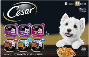 cesar gourmet wet dog food variety packs 36 trays