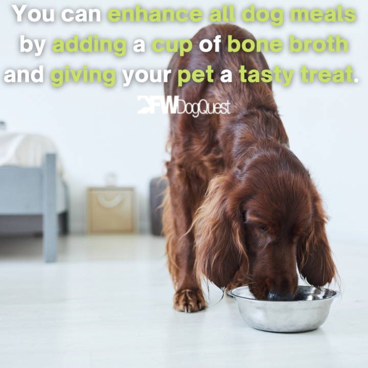 dog eating bone broth dog food