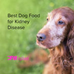 9 Best Dog Food for Kidney Disease [2022]
