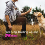 Register: 7-Part Free Dog Training Course