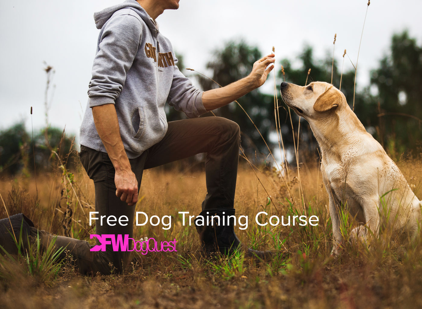 free dog training course