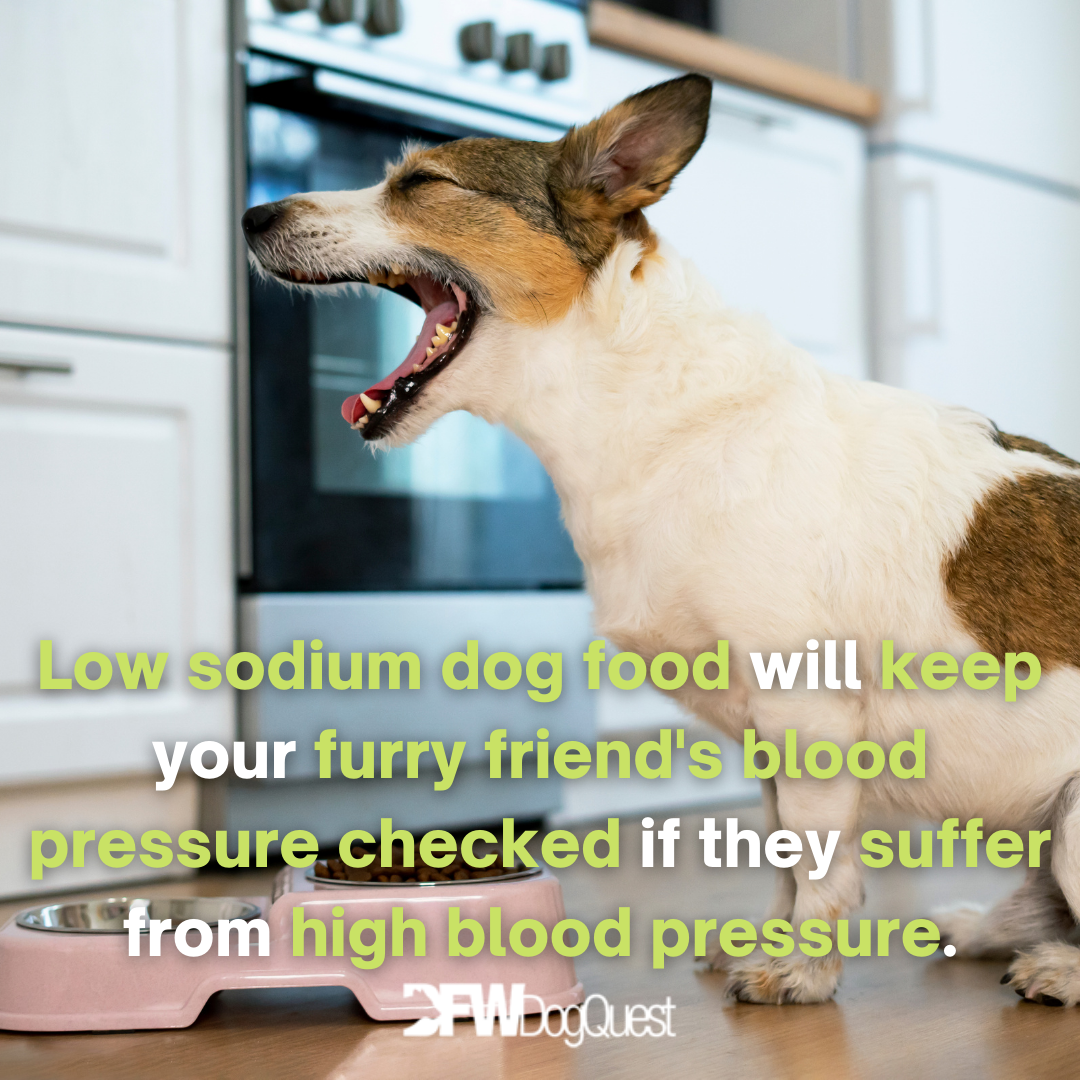 9 Best LowSodium Dog Food [2022]