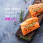 7 Tasty Salmon Dog Food for Your Dog in [2022]