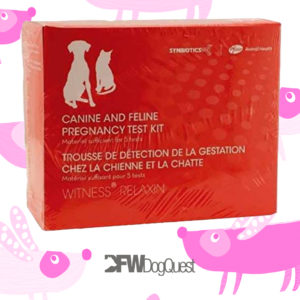 synbiotics canine and feline pregnancy test kit