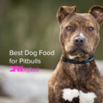 8 Best Dog Food for Pitbulls [2022]