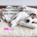 Trazodone for Dogs: How it Works, Dosage, Side Effects [2022]