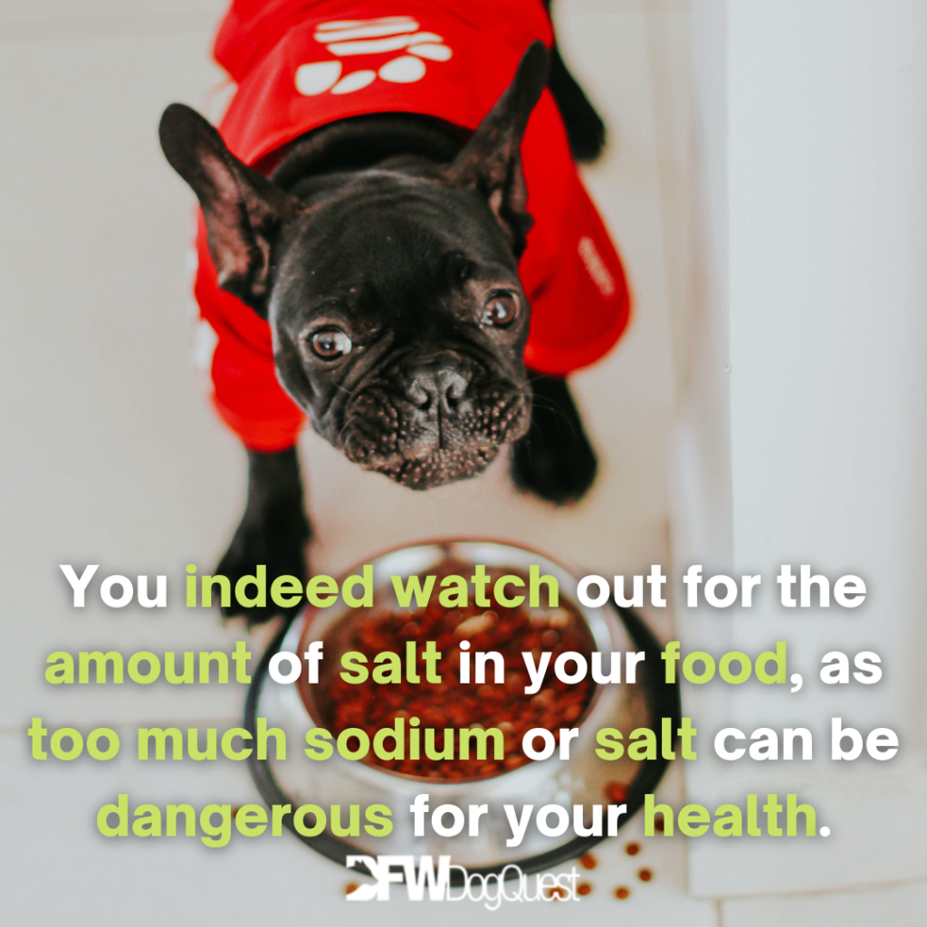 9 Best LowSodium Dog Food [2022]